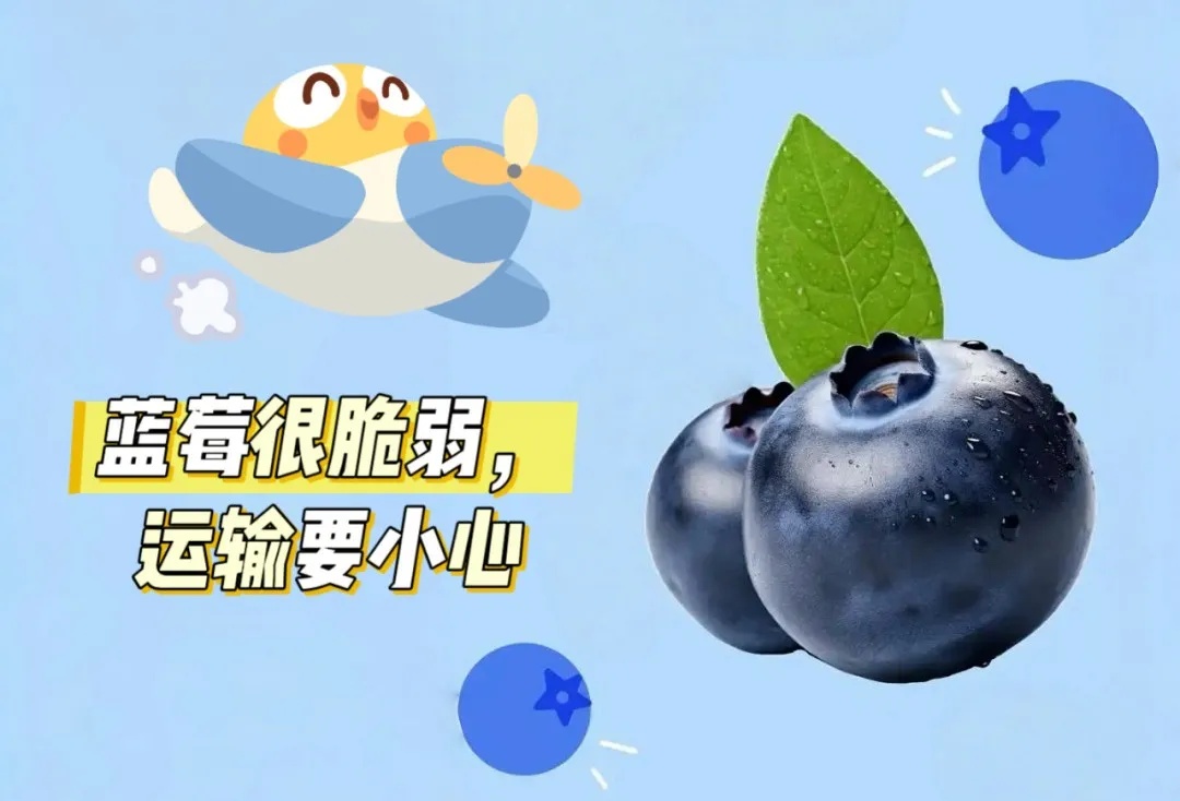 https://yunjintong.oss-cn-beijing.aliyuncs.com/adminHome/3_20250528162527973.jpg